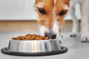 Купить корм для собак Just Dog в Краснодаре